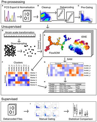 Pediatric Burn Survivors Have Long-Term Immune Dysfunction With Diminished Vaccine Response